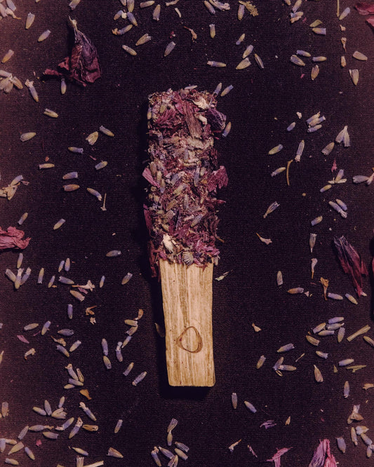 Palo Santo Stick with Lavender & Violet | Alright, Go Rest