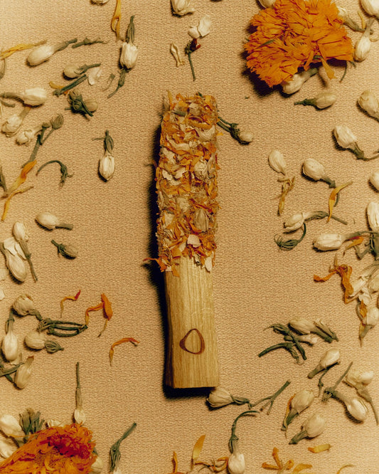 Palo Santo Stick with Calendula & Jasmine | Softly, Slowly