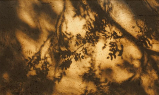 Why Stillness Is a Luxury Now