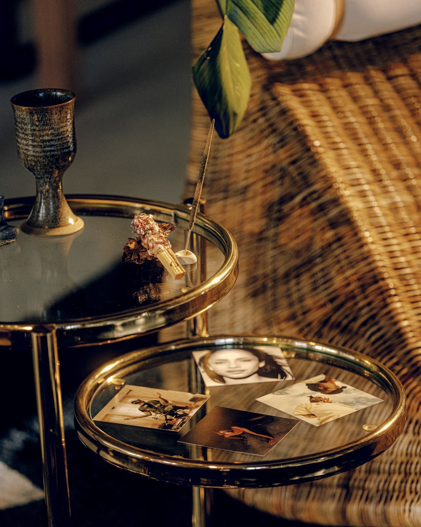 Palo Santo Stick with Rosemary & Clove |  Mind, Uncluttered