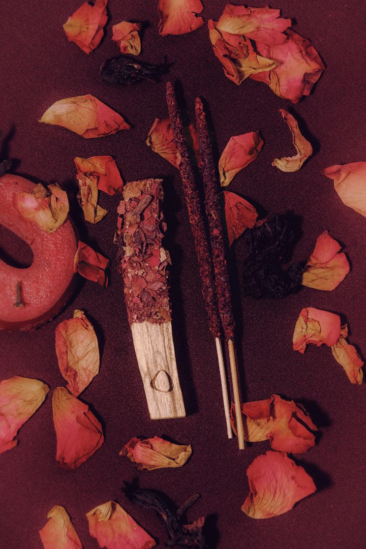 Palo Santo & Botanical Incense Set | Warmth She Carries