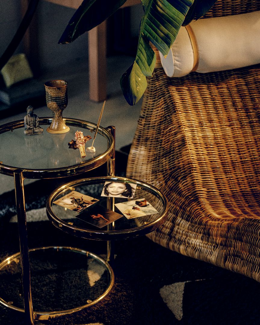 Palo Santo & Botanical Incense Set | Return to Clarity